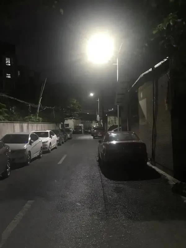 1631083704198241.jpeg