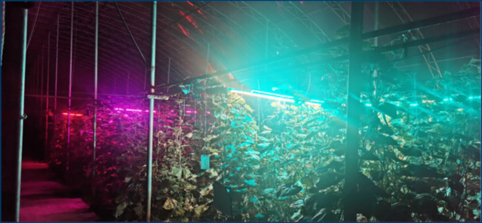 02222.png